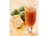 Guava Concentrate Health Benefits